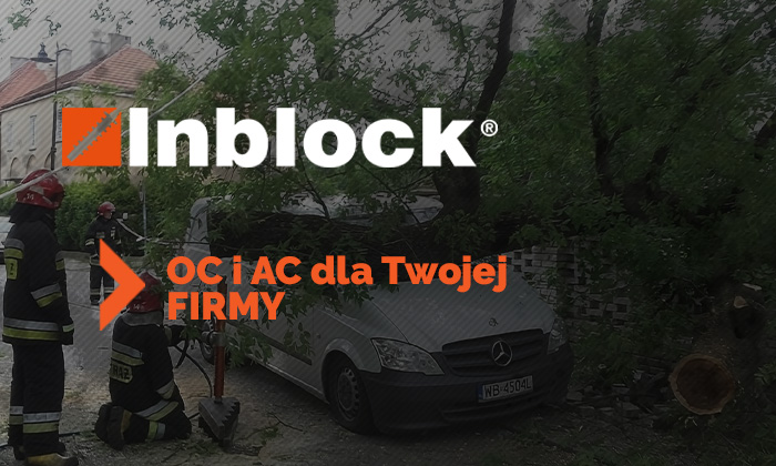 Ubezpiecz Swój Biznesowy Sukces: Polisy, Które Ocalą Twój Kapitał